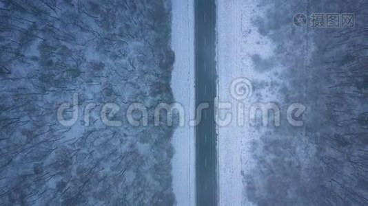 暴风雪中穿越冬季森林的道路上卡车的鸟瞰图视频