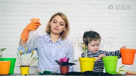 劳动概念。 一个小男孩帮助妈妈照顾夏天的花。视频