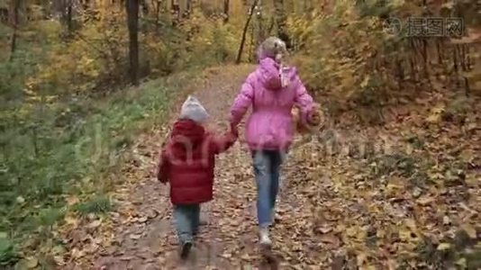 无忧无虑的兄弟姐妹在秋天公园跑步视频