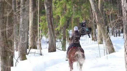 在森林里骑马的女人。 背面视频