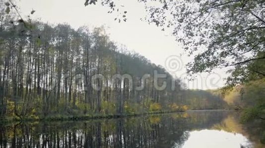 秋天湖的全景，它反映了树木视频
