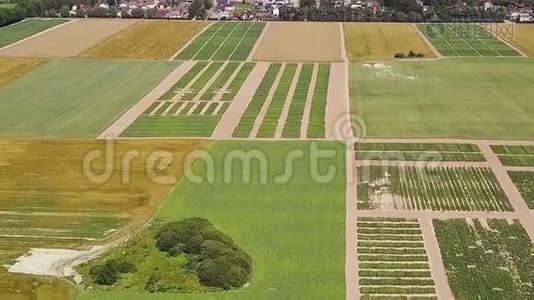 飞越绿色的田野.. 美丽的风景。视频