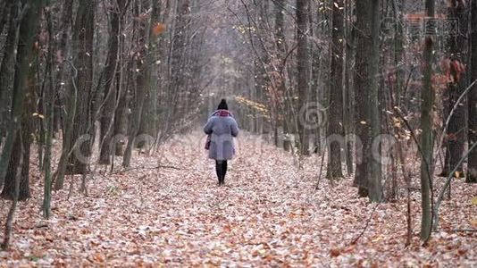 年轻女子独自走在秋林的小径上。 后景。 旅行、自由、自然概念视频