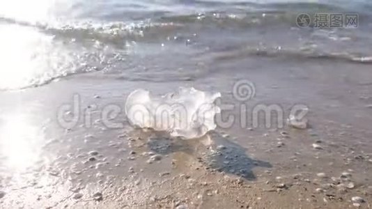 美杜莎水母在沙滩上的海浪。视频