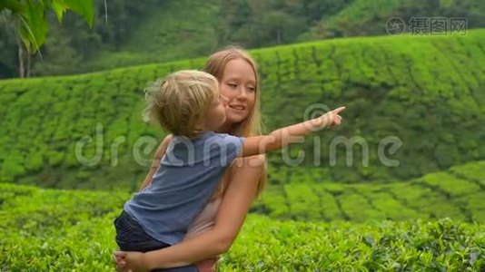 一名年轻女子和她的儿子参观高地茶园的慢镜头。 新鲜，茶的概念视频