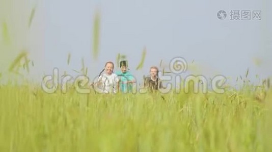 快乐的孩子们在夏日草地上奔跑视频