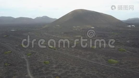 兰萨罗特黑火山土壤上的葡萄园。 在拉吉利亚葡萄酒种植的空中风景视频