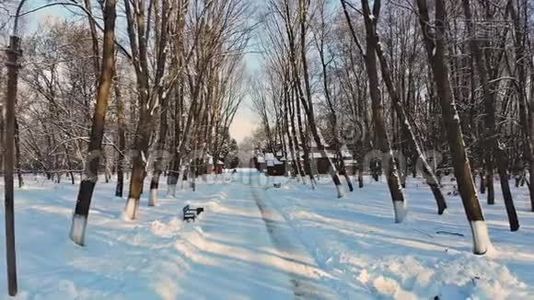 冬林积雪覆盖道路和松树.. 寒冷的冬季室外森林自然景观。 下雪的寒冷日子视频