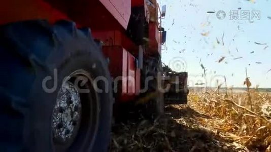 特写，大红联合收割机收割玉米.. 干燥的叶子在风中飞过田野。 秋天视频
