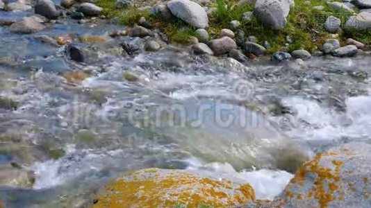 湍急的河流在靠近的石头上流淌。 清澈的河水视频