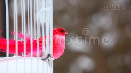 红色玩具鸟白色户外金属笼冬季雪高清镜头视频