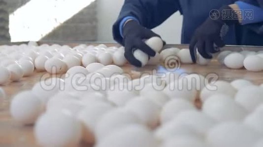 家禽工人抓起鸡蛋装在盒子里。 4K.视频