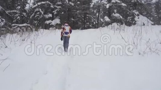 年轻的女性徒步旅行，背着背包在美丽的冬林中，走在远离镜头的路上，轻盈的降雪。视频