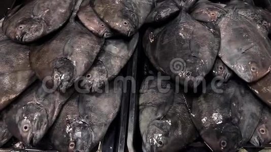 新鲜生鱼在海鲜市场出售视频