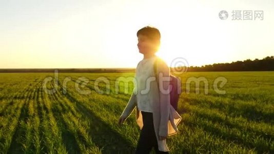 一个女孩在夕阳背景下沿着绿色草坪缓慢地走着视频