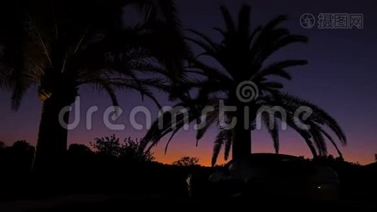 黑色的棕榈树在夕阳的天空背景上剪影。 橙色和紫色的壮丽日落景色视频