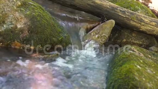 美丽的山河里的水慢慢地流过一块大石头。 河流中的小瀑布视频