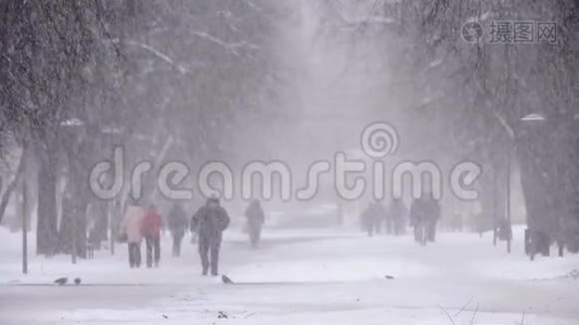 降雪城，人走雪道.. 暴风雪，暴风雪视频