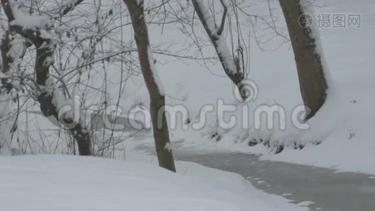 在小河上下雪视频