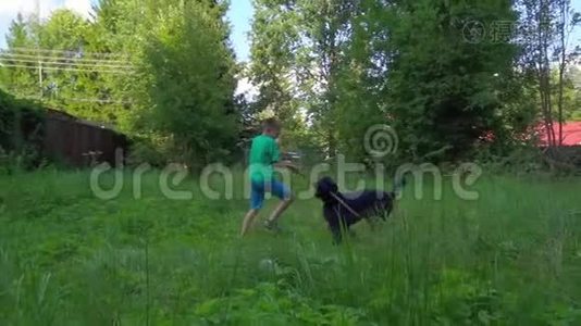 一个男孩爱狗主人在公园里和一只大黑狗玩的慢动作。 狗享受自由和自然。视频