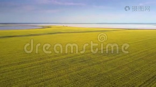 从广袤的黄野到圆湖的上游运动视频