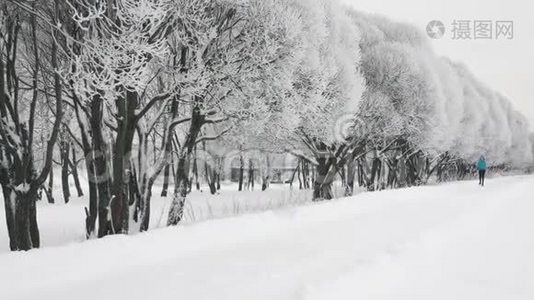 冬天白雪覆盖的树木背景下，一个运动的孤独女孩奔跑视频