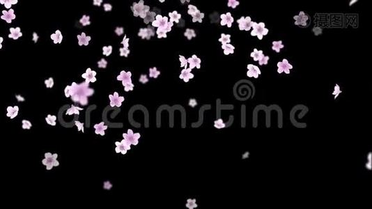 粉红色浪漫飘落的樱花花瓣。 用阿尔法通道加载4K运动春花图形。视频