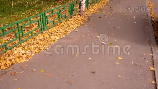 秋天城市小径上的落叶被风吹落。 树叶下落缓慢视频