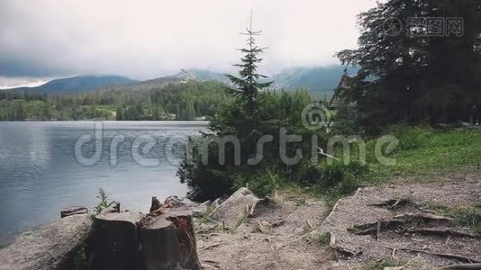 平静的山湖清澈的水林视频