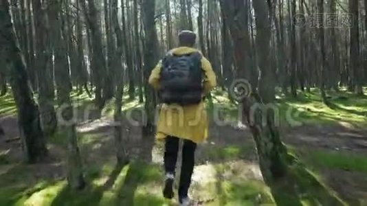 在绿色秋林中奔跑的人视频