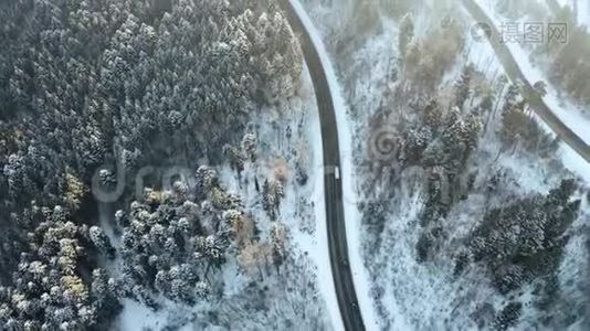 头顶高空俯视汽车行驶在簪弯转弯的山路上，冬雪覆盖森林。 白色视频