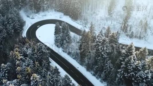 头顶高空俯视汽车行驶在簪弯转弯的山路上，冬雪覆盖森林。 白色视频