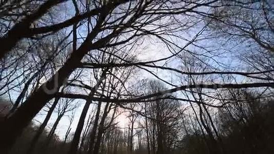 没有叶子的树之间的摄像机运动。 阳光照进相机，映衬着蓝天和树枝.. 黑暗视频
