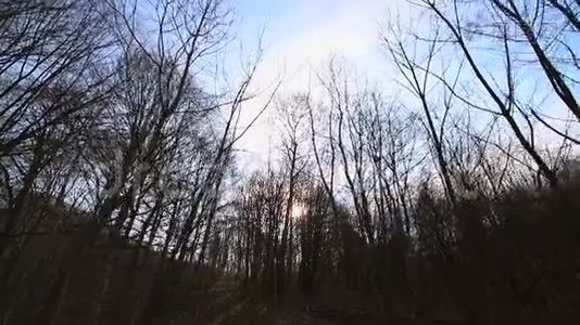 没有叶子的树之间的摄像机运动。 阳光照进相机，映衬着蓝天和树枝.. 黑暗视频