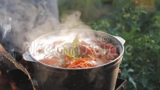 小龙虾在水中用香料和草药烹饪。 热煮小龙虾。 龙虾特写.. 上景。视频