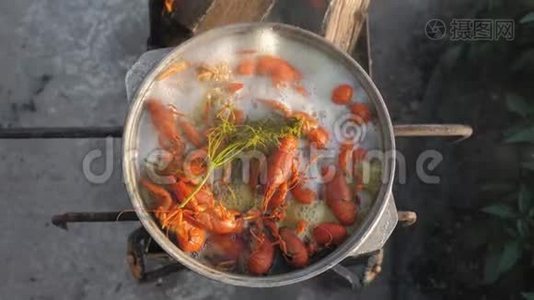 小龙虾在水中用香料和草药烹饪。 热煮小龙虾。 龙虾特写.. 上景。视频