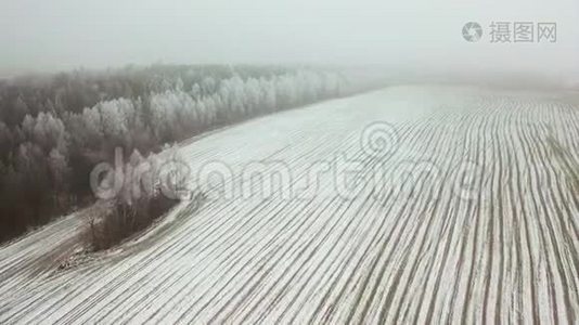 雪中的春田。 空中观景。 早春视频