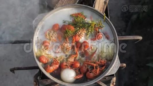 小龙虾在水中用香料和草药烹饪。 热煮小龙虾。 龙虾特写.. 上景。视频