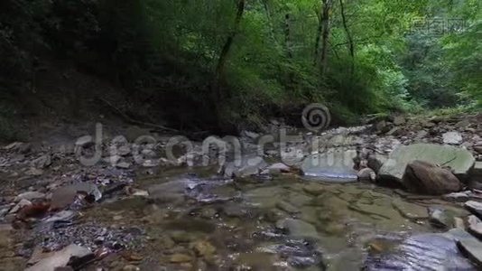 森林河流背景视频