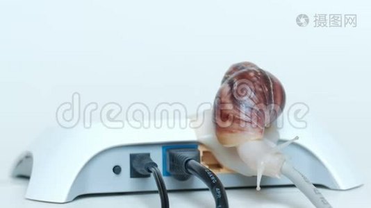 慢互联网连接和通过本地网络传输数据的概念.. 蜗牛沿着连接的电线慢慢地爬行视频