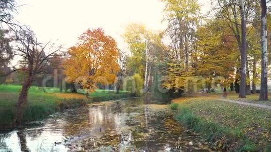 五彩缤纷的秋天公园里的桥和池塘视频