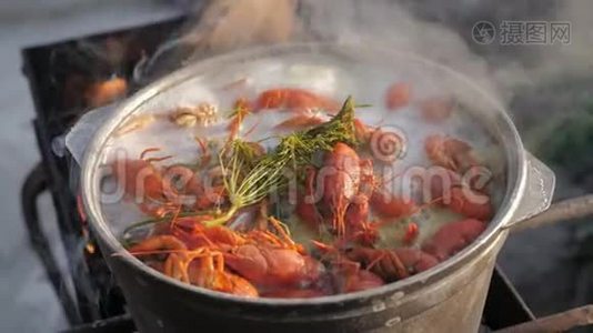 小龙虾在水中用香料和草药烹饪。 热煮小龙虾。 龙虾特写.. 上景。视频