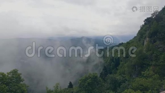 山谷和山丘上的雾云覆盖着绿色的森林。 高地的薄雾视频