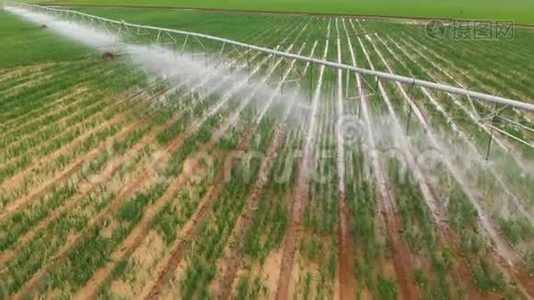 工业农业4K航空视野。 夏季用农作物灌溉圆田视频