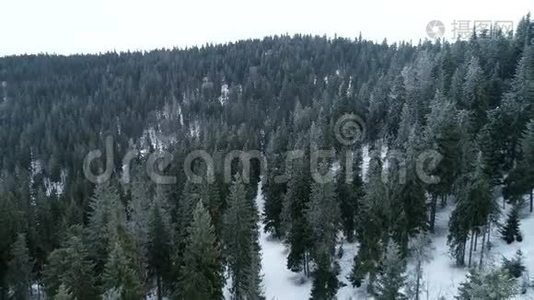 空中白雪覆盖的树木，钻山景观，冬季自然，美丽的欧洲，森林山旅行，白色著名视频