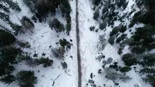 冬天森林里的路。 大雪纷飞。 空中观景台。视频