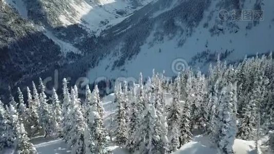 鸟瞰无人机自由滑雪板下降粉末雪视频