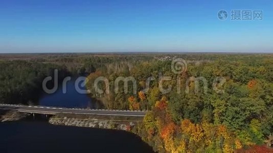 鸟瞰美丽的秋河，桥和森林视频