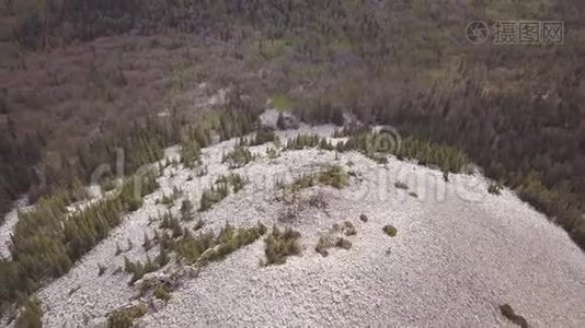 落基山在混合的森林上散布着白色的石头。 剪辑。 俄罗斯景观鸟瞰图视频