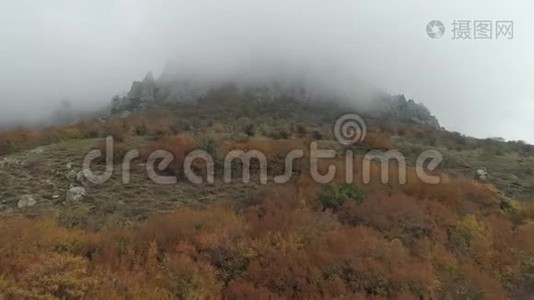 浓雾中美丽的山脊和树木。 中枪。 秋天的风景。视频